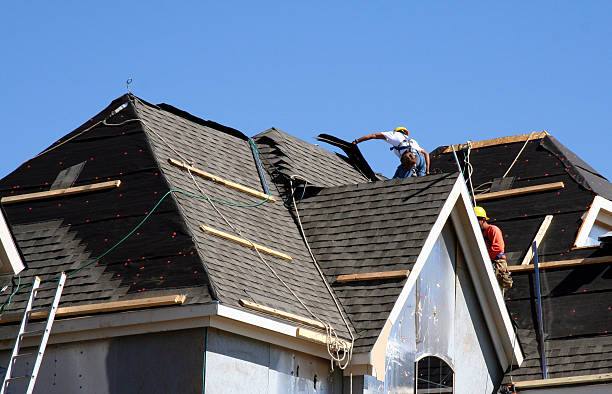Best Roof Leak Repair  in Audubon, IA