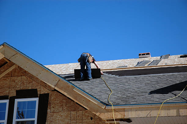 Best Roof Repair Services  in Audubon, IA