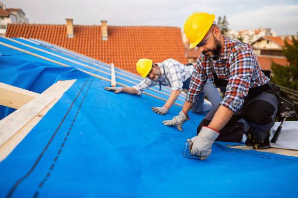 Best Roof Waterproofing Services  in Audubon, IA